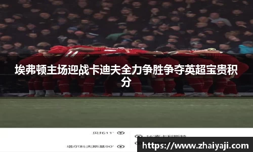 埃弗顿主场迎战卡迪夫全力争胜争夺英超宝贵积分