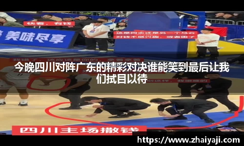 韦德体育